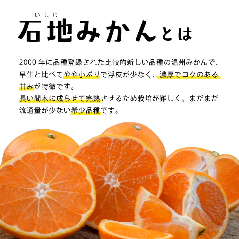【※今季販売終了※】【送料無料】農園セレクト旬柑橘食べ比べセット〈家庭用・優品〉※次回は、2026年9～10月頃から予約開始予定です。