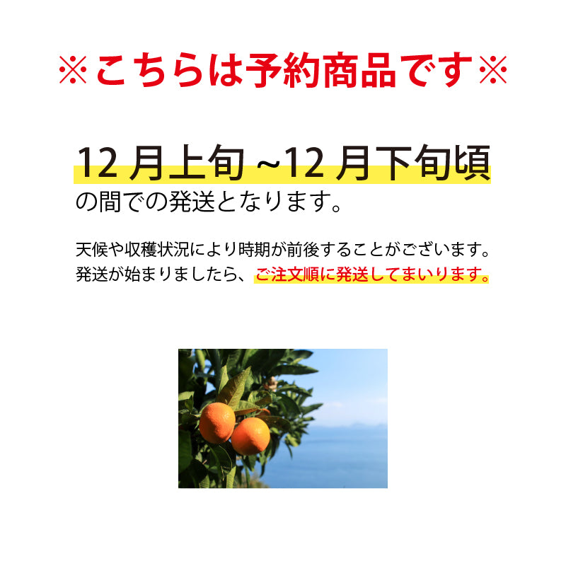 【※今季販売終了※】【送料無料】農園セレクト旬柑橘食べ比べセット〈家庭用・優品〉※次回は、2026年9～10月頃から予約開始予定です。