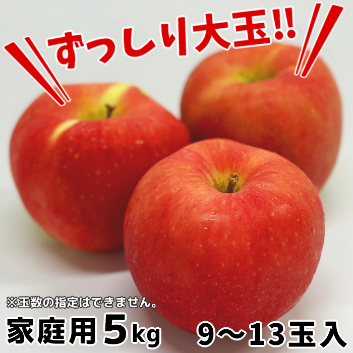 人気の希少品種！青森県産 家庭用りんご 華宝 約5kg【送料込】【クール便】産地直送 数量限定