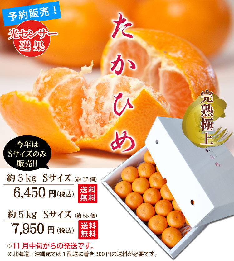 【佐賀県太良産 最高級みかん】たかひめ≪Sサイズ≫