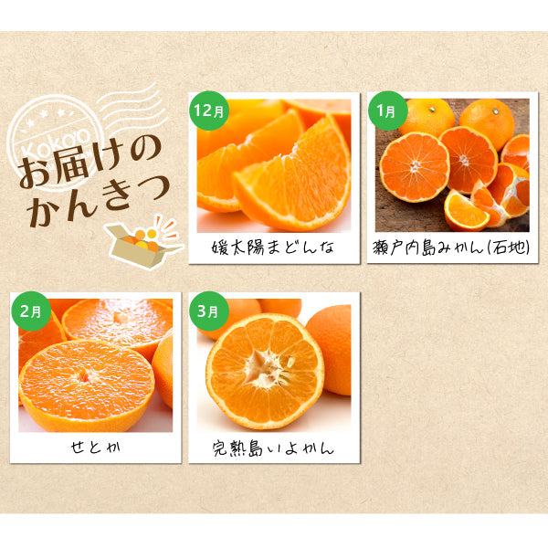 ※今季販売終了※【送料無料】お得！農家のイチオシ・セレクト定期便〈家庭用・優品〉【全4回】※お楽しみプチプレゼント付き