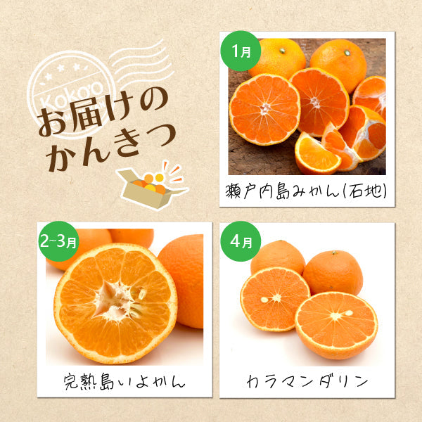 【送料無料】お得な定期便！瀬戸内島みかん 島だより〈家庭用・優品〉【全3回】※お楽しみプチプレゼント付き