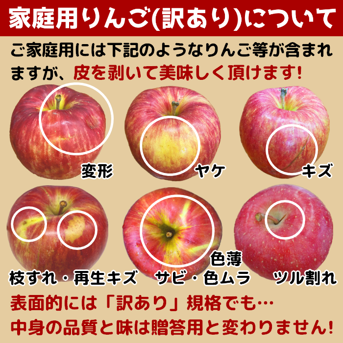 青森県産 家庭用りんご サンふじ 3kg・5kg・10kg【送料込】産地直送 光センサー選果