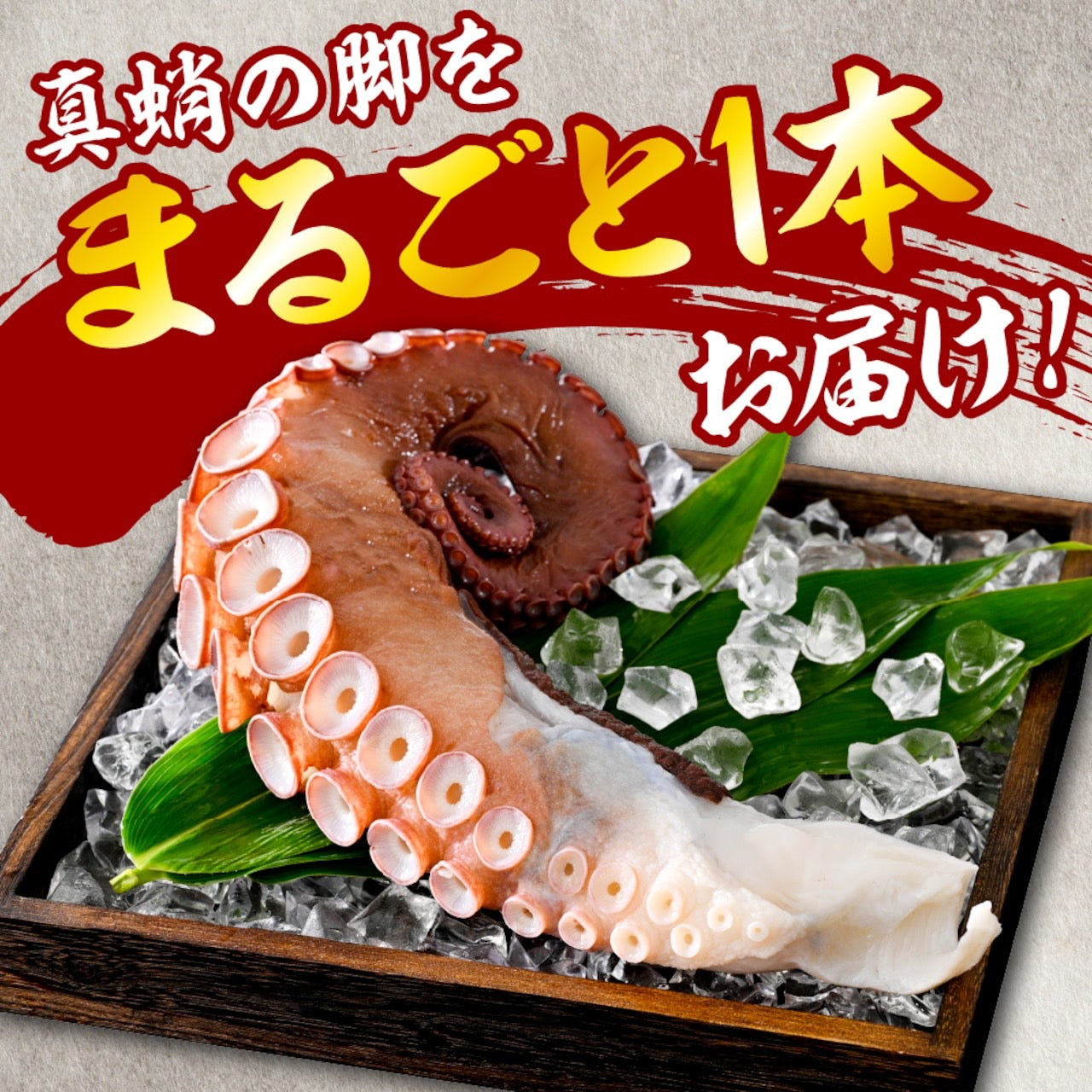 北海道産　ブランチ加工たこ脚１本