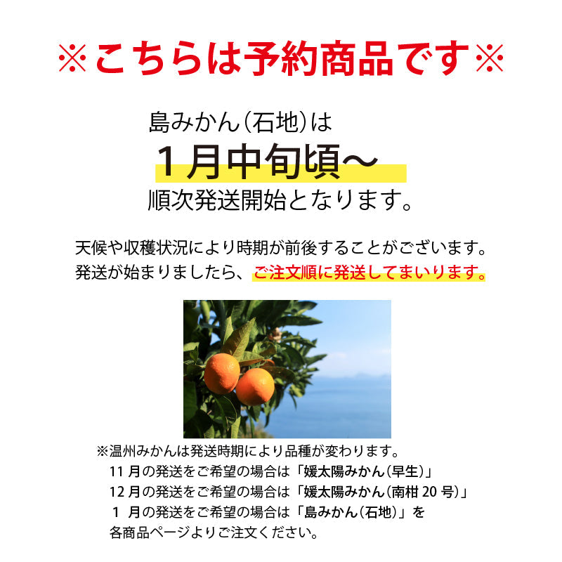 ※予約受付中※【送料無料】木成り完熟　島みかん(石地)約５kg〈秀品〉　※2026年1月頃発送予定