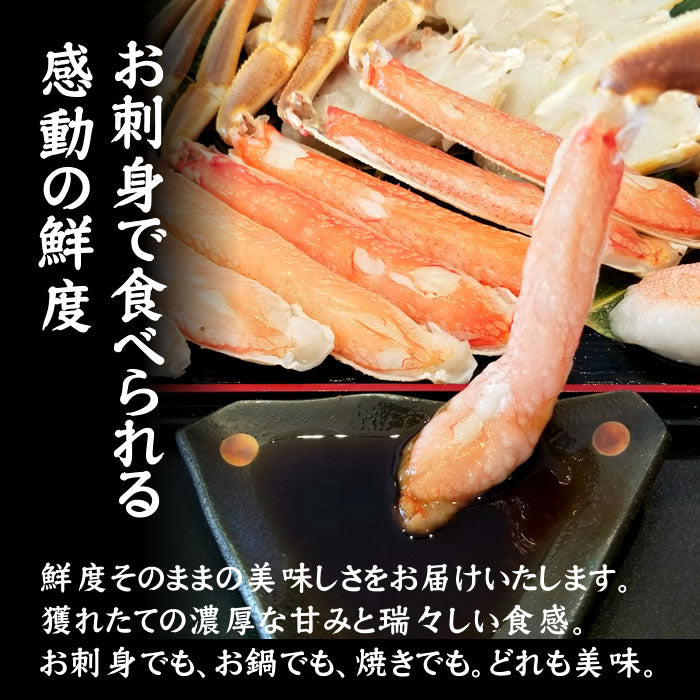 カット済み お刺身[生]本ずわい蟹 800g(総重量1kg) 送料無料※沖縄は別途
