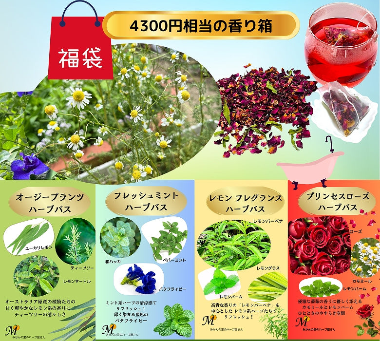 【2026年・お試し福袋】【4300円相当】香りを楽しむハーブの宝箱