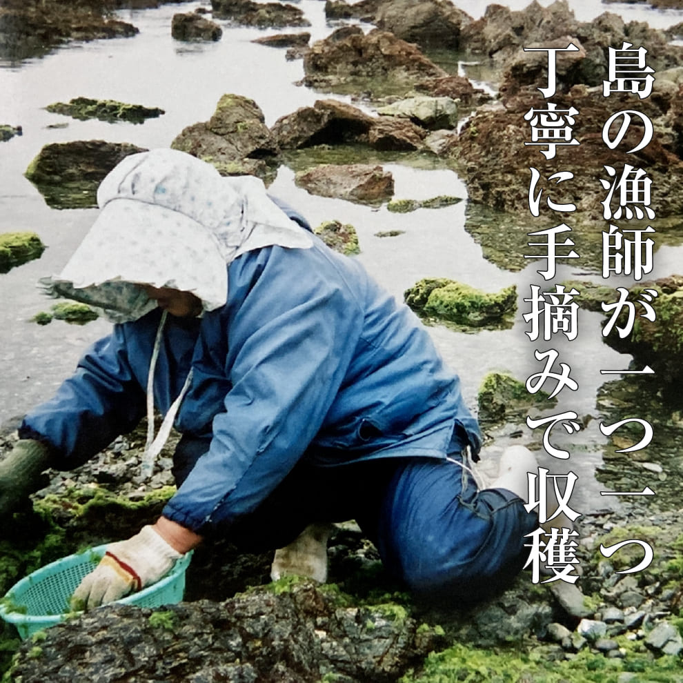 2025年産香り豊かな大分姫島産天然あおさ15g×20袋｜高級料亭の味噌汁が自宅で｜ミネラル・食物繊維・ビタミン豊富な海藻スーパーフード｜送料無料＆15％OFF｜簡単ふりかけ＆天ぷら・サラダにも◎｜無添加・保存料不使用・常温保存OK・ギフト対応可｜お取り寄せグルメ・常備菜・ダイエット食・健康志向・海藻スープ｜数量限定在庫限り