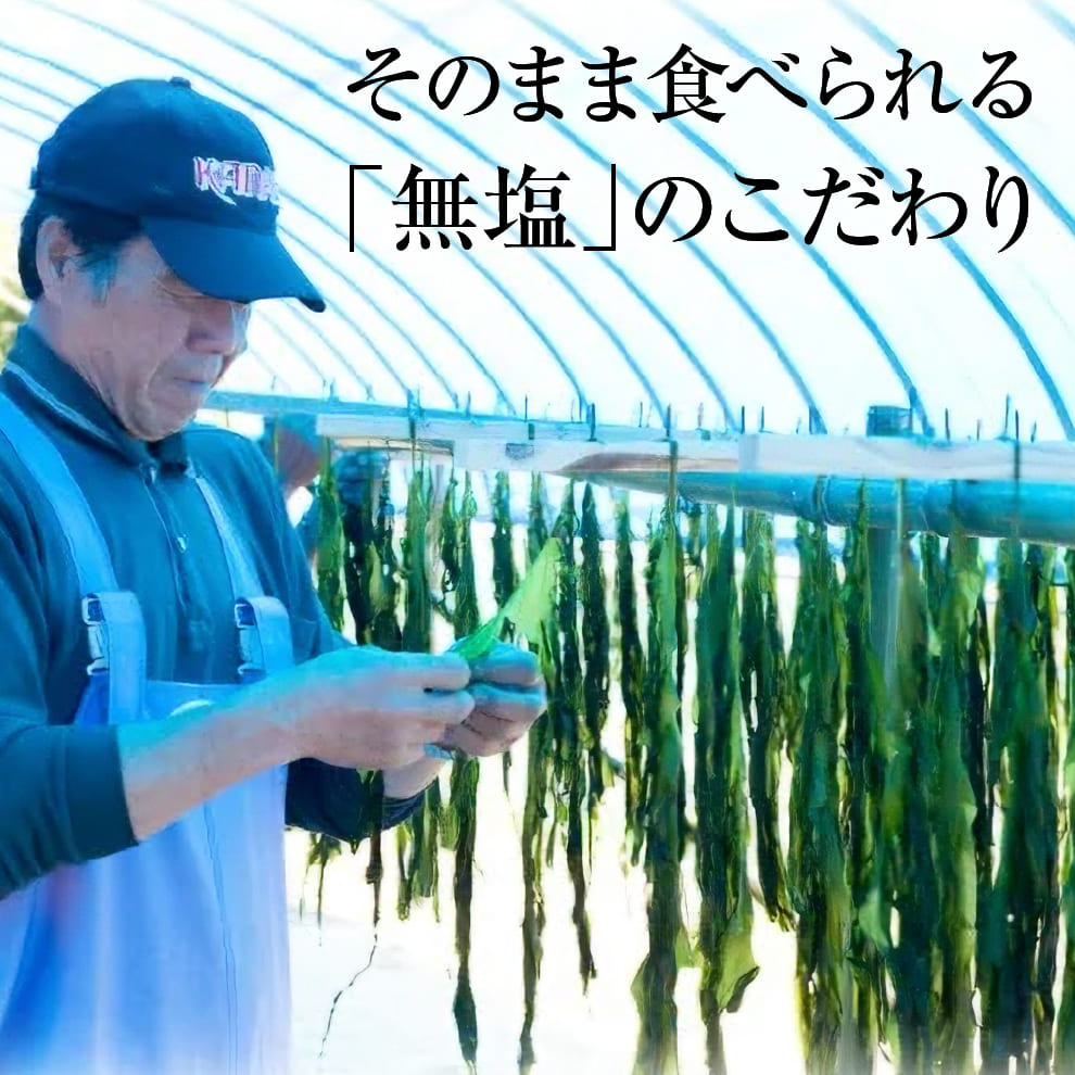 【売り切れました】2025年産長寿の島・姫島村産 無塩天日干し島わかめ20袋セット｜大分県姫島産の高級海藻｜天日干しのシャキシャキ食感でミネラル・食物繊維・フコイダン豊富｜無添加・保存料不使用・常温保存OK｜送料無料＆15％OFF｜お取り寄せグルメ・ギフト対応可｜お味噌汁・サラダ・わかめスープ・常備菜に◎