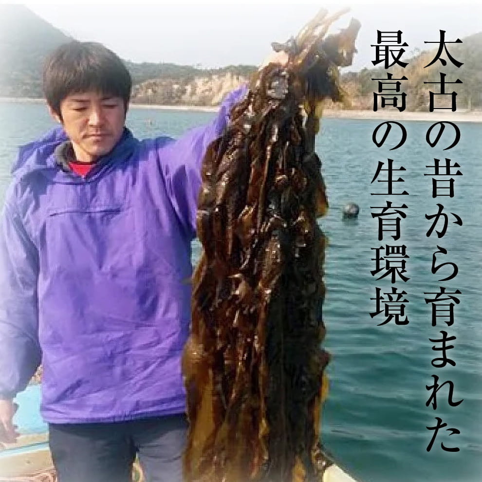 【売り切れました】2025年産長寿の島・姫島村産 無塩天日干し島わかめ20袋セット｜大分県姫島産の高級海藻｜天日干しのシャキシャキ食感でミネラル・食物繊維・フコイダン豊富｜無添加・保存料不使用・常温保存OK｜送料無料＆15％OFF｜お取り寄せグルメ・ギフト対応可｜お味噌汁・サラダ・わかめスープ・常備菜に◎