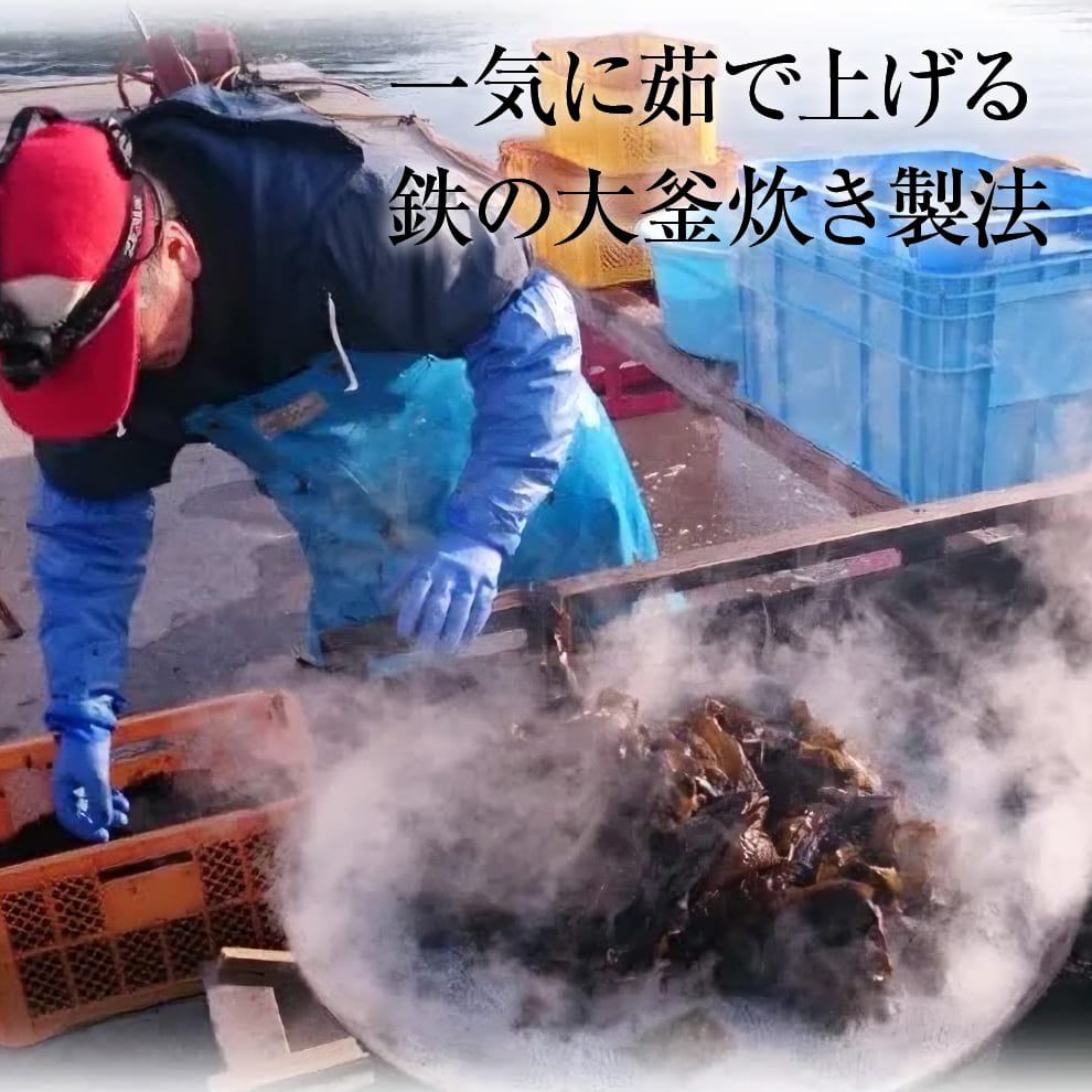 【売り切れました】2025年産長寿の島・姫島村産 無塩天日干し島わかめ10袋セット｜大分県姫島産の高級海藻｜天日干しのシャキシャキ食感でミネラル・食物繊維・フコイダン豊富｜無添加・保存料不使用・常温保存OK｜送料無料＆10％OFF｜お取り寄せグルメ・ギフト対応可｜お味噌汁・サラダ・わかめスープ・常備菜に◎
