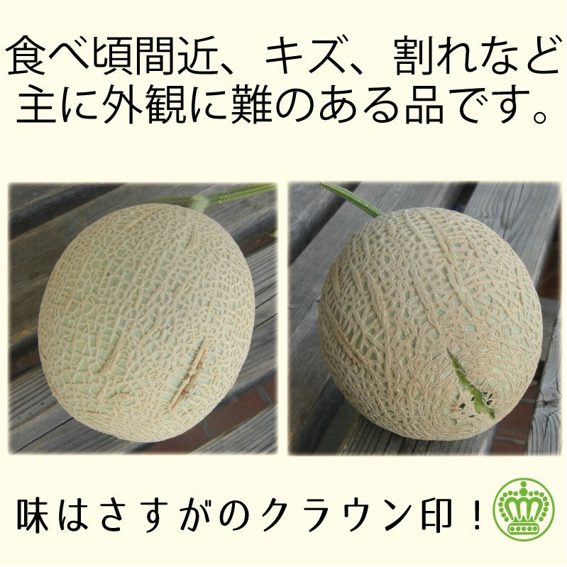 ＜家庭用※訳あり品カード入り＞クラウンメロン　Mサイズ２玉　【送料無料】