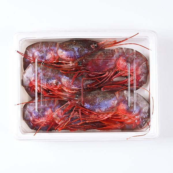 幻のエビ 北海道 羅臼産 ブドウエビ 250g【送料無料】
