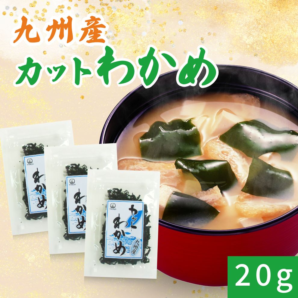 【九州産】カットわかめ20g×3袋セット【送料無料】【ポスト投函】