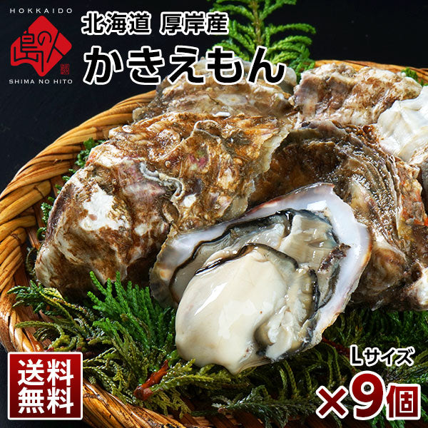 北海道 厚岸産 牡蠣 (カキえもん) 殻付き 9個(M・Lサイズ) 殻むきナイフ付 送料無料