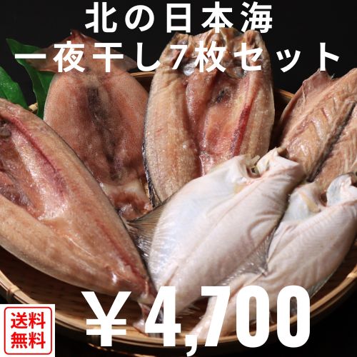 【送料無料】【産地直送】北の日本海　一夜干し7枚セット