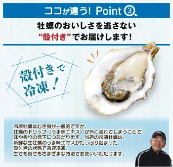 冷凍 殻付き真牡蠣(生食可) 1袋 12個