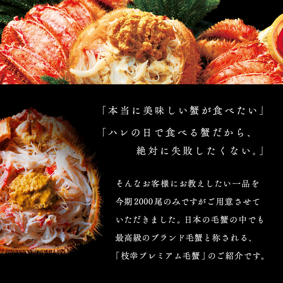 かに 北海道 枝幸産 プレミアム毛蟹【送料無料】