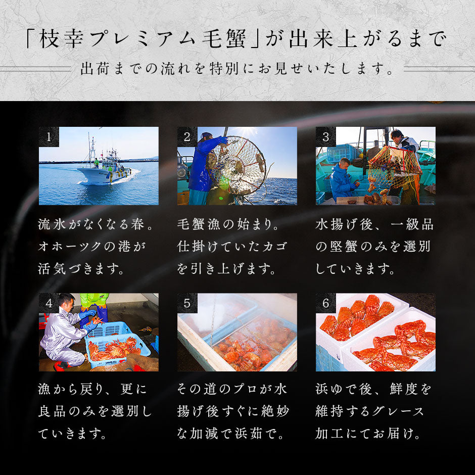 かに 北海道 枝幸産 プレミアム毛蟹【送料無料】
