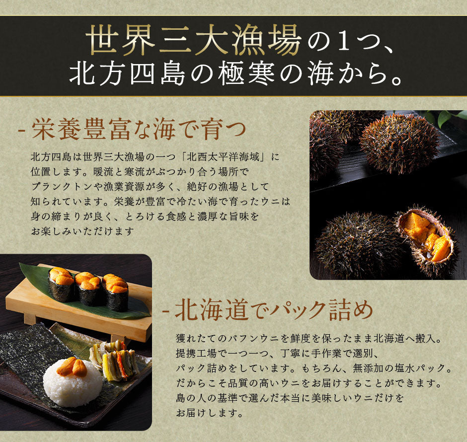 【5月17日～5月18日お届け】うに 北方四島産 天然生エゾバフンウニ 80g 【色が赤い訳あり品】【送料無料】
