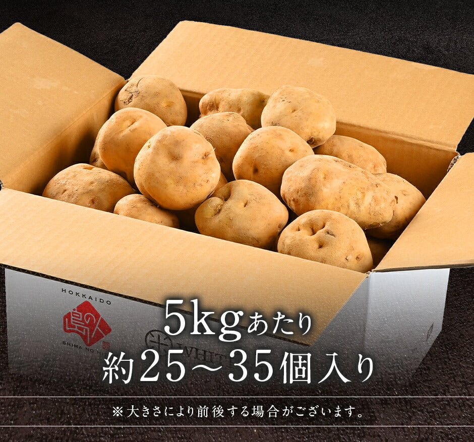 ＼幻のじゃがいも／北海道産 今金男爵 L～2Lサイズ【送料無料】