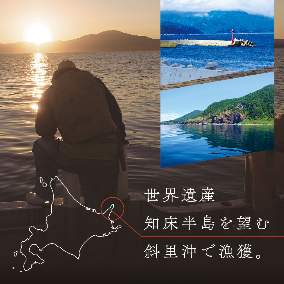 最高級 昆布だし 鮭いくら 醤油漬 50g いくら 魚卵 筋子 鮭 北海道 グルメ 食品 寿司 贈り物 お取り寄せ 食べ物【島の人】【お取り寄せグルメ】