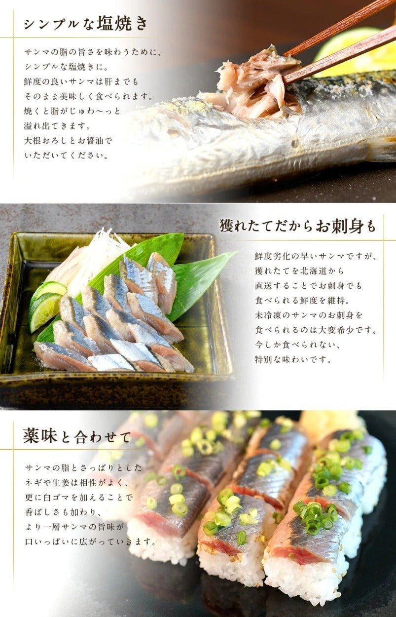 【水揚げ次第お届け】 さんま生サンマ 2.0kg(17尾前後) 【送料無料】 北海道 根室・釧路産 生サンマ  秋刀魚さんま 秋刀魚 北海道 刺身 食品 グルメ 寿司