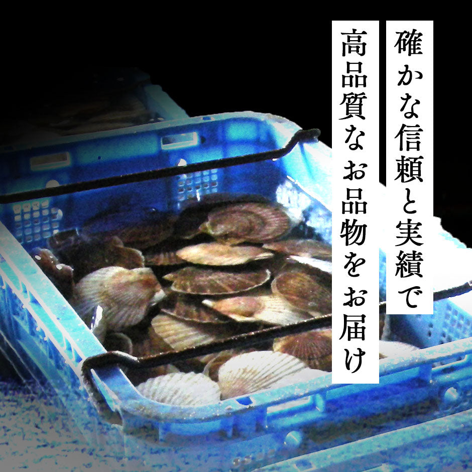 北海道産 お刺身ほたて貝柱 300g 割れなし正規品