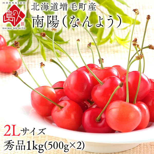 北海道産 さくらんぼ 南陽 1kg(500g×2p) 2Lサイズ【産地直送】 北海道の大地で佐藤さんが育てたサクランボ