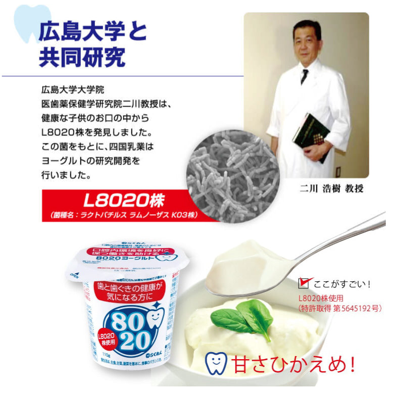 【送料無料】8020ヨーグルト 食べるヨーグルト 110g×20個 [クール便]