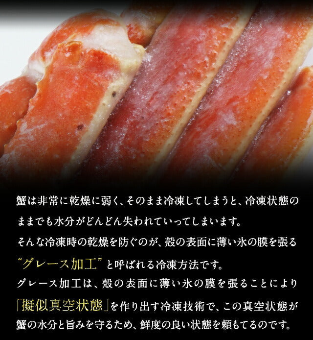 本ズワイガニ 脚 1.5kg (5-7肩前後/3人前)【送料無料】 | 47CLUB