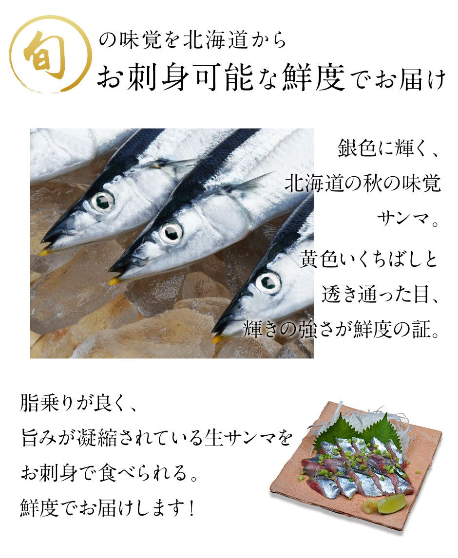 【水揚げ次第お届け】 さんま生サンマ 2.0kg(17尾前後) 【送料無料】 北海道 根室・釧路産 生サンマ  秋刀魚さんま 秋刀魚 北海道 刺身 食品 グルメ 寿司