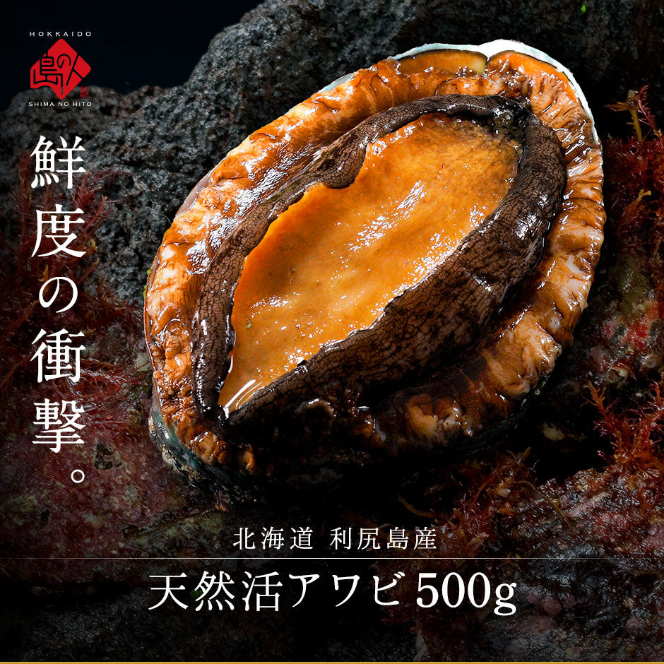 北海道 利尻島産 天然活アワビ 計500g(5個前後入り)【送料無料】
