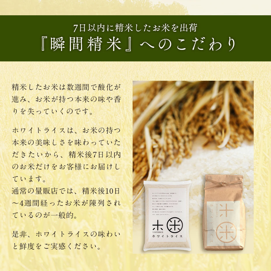 北海道産 ゆめぴりか 米 10kg 無洗米 白米 玄米(選べる精米方法) 【送料無料】