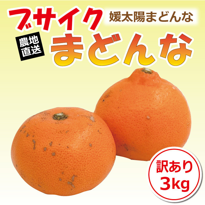 ※2025年9月頃より予約開始予定※【送料無料】訳あり媛太陽まどんな「ブサイクまどんな」〈家庭用・訳あり〉約3kg