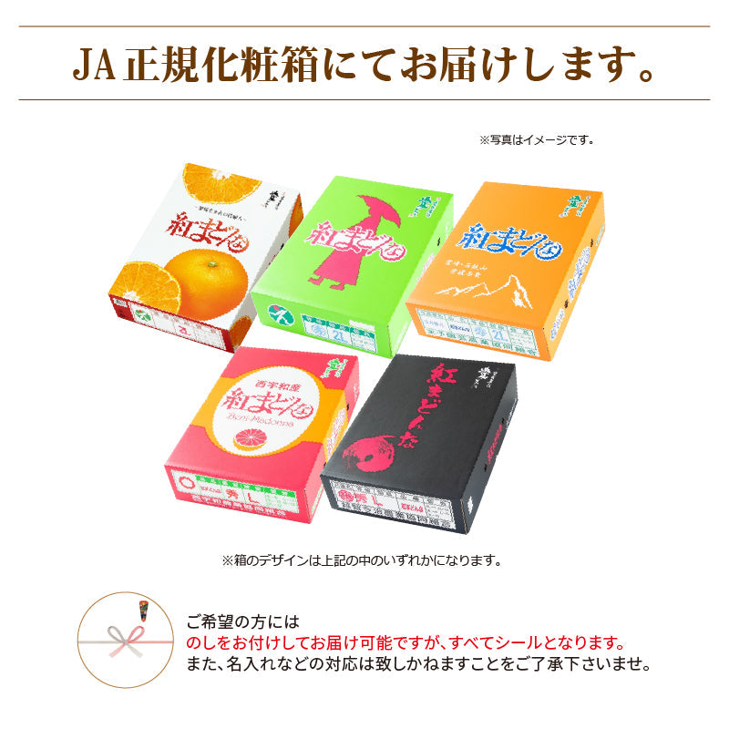 ※取扱終了※【送料無料】かんきつの最高峰！高級ブランドかんきつ「紅まどんな」〈優品・JA正規箱入〉約3kg