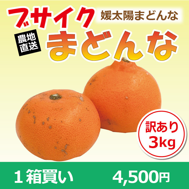 ※2025年9月頃より予約開始予定※【送料無料】訳あり媛太陽まどんな「ブサイクまどんな」〈家庭用・訳あり〉約3kg