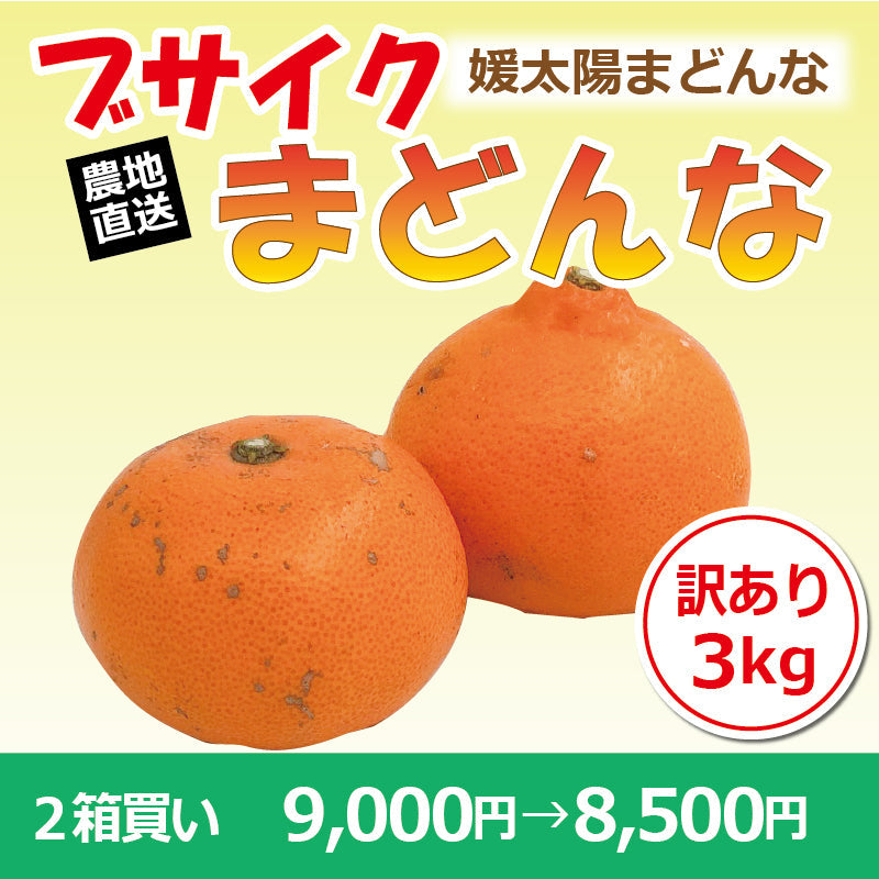 ※2025年9月頃より予約開始予定※【送料無料】訳あり媛太陽まどんな「ブサイクまどんな」〈家庭用・訳あり〉約3kg