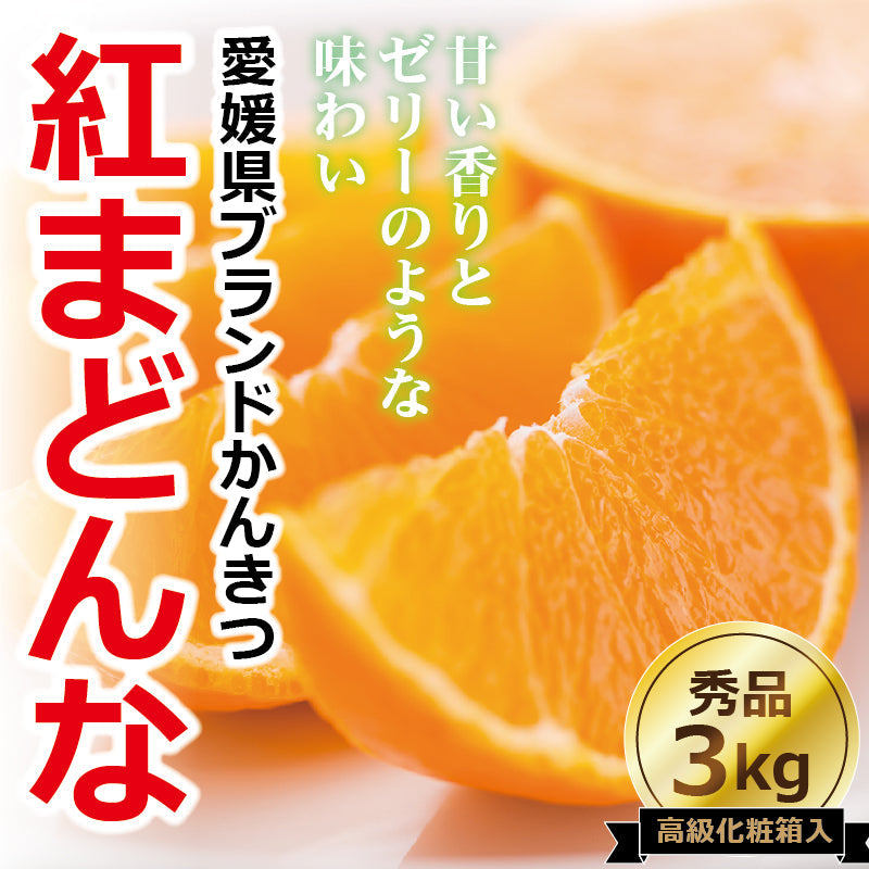 ※2025年9月頃より予約開始予定※【送料無料】かんきつの最高峰！高級ブランドかんきつ「紅まどんな」〈秀品・高級化粧箱入〉約3kg