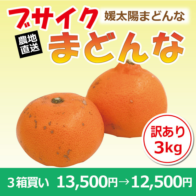 ※2025年9月頃より予約開始予定※【送料無料】訳あり媛太陽まどんな「ブサイクまどんな」〈家庭用・訳あり〉約3kg