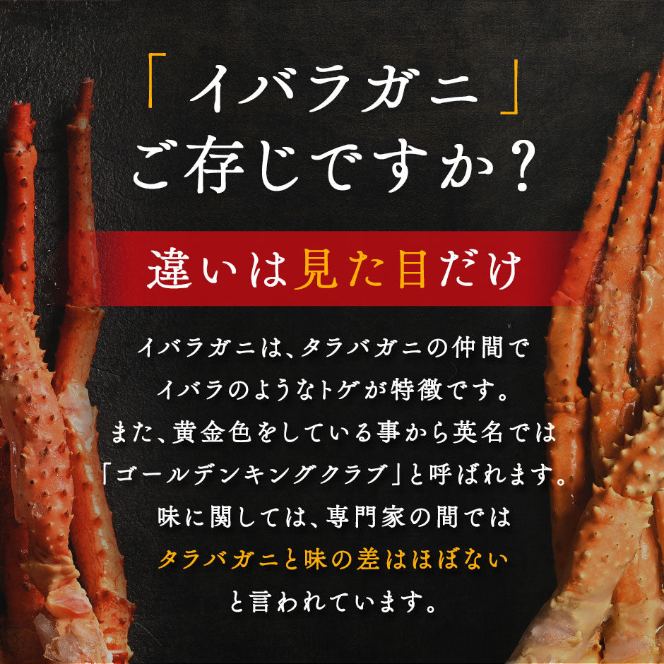 イバラガニ 脚 800g前後 (1肩)【送料無料】