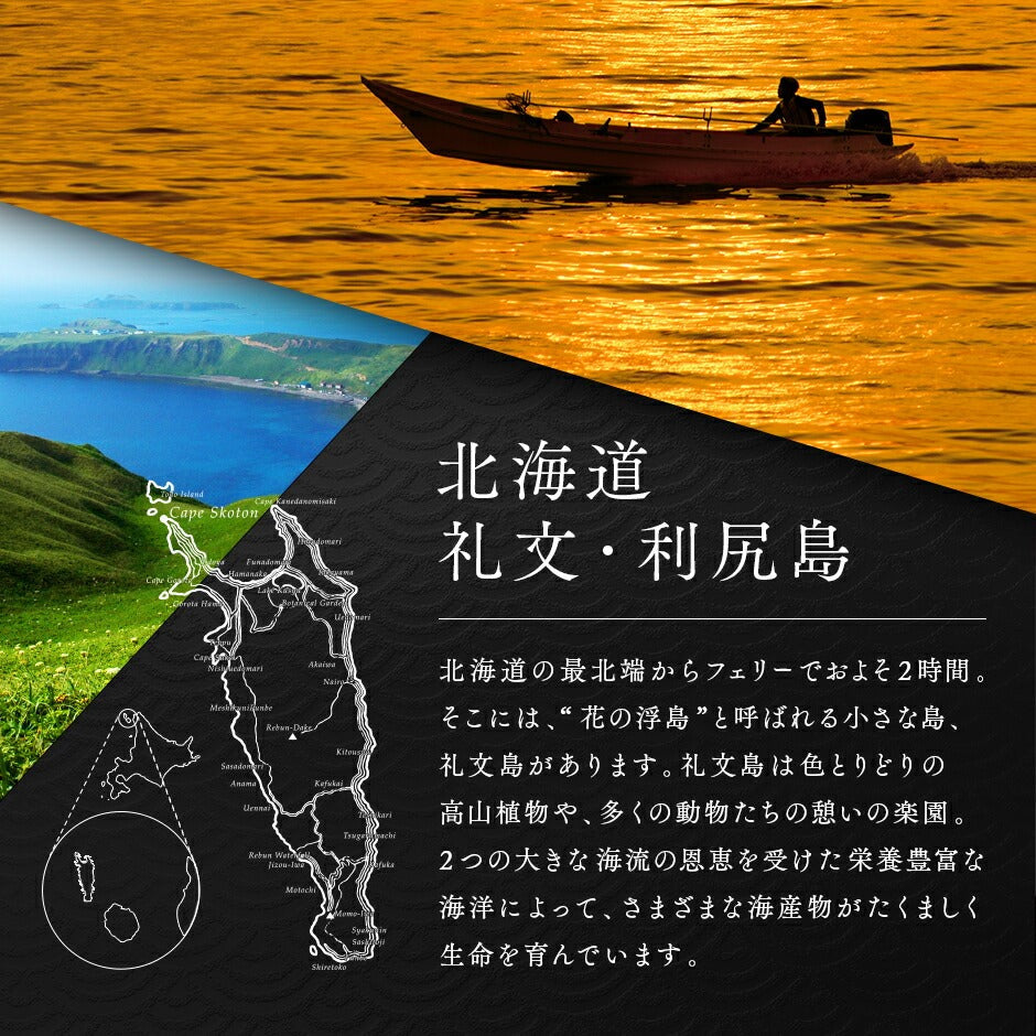 【水揚げ次第お届け】うに いくら 北海道 礼文・利尻島産 生キタムラサキウニ＋昆布だしいくら セット【送料無料】