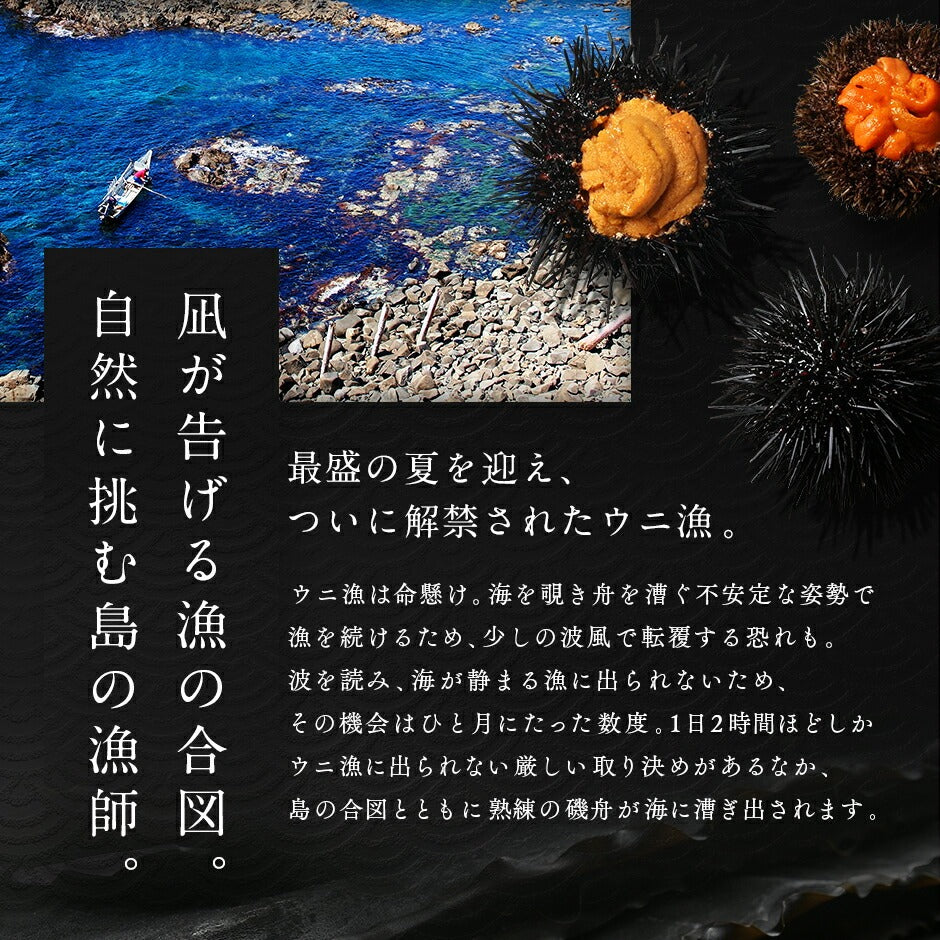【水揚げ次第お届け】うに いくら 北海道 礼文・利尻島産 生キタムラサキウニ＋昆布だしいくら セット【送料無料】