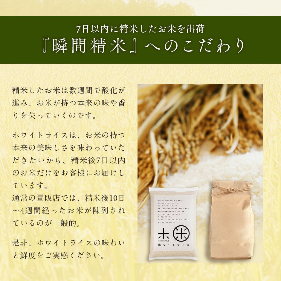 ゆめぴりか 5kg 北海道産 無洗米 白米 玄米 (選べる精米方法) お米【令和6年度産】【減農薬米】【送料無料】【発送前に精米】【放射能検査済】