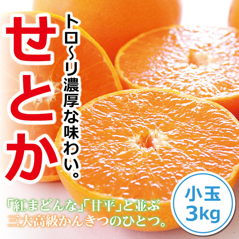 ※今季販売終了※【送料無料】訳あり「小さなせとかちゃん」〈家庭用・小玉〉約3kg　※発送は２月中旬～３月中旬予定