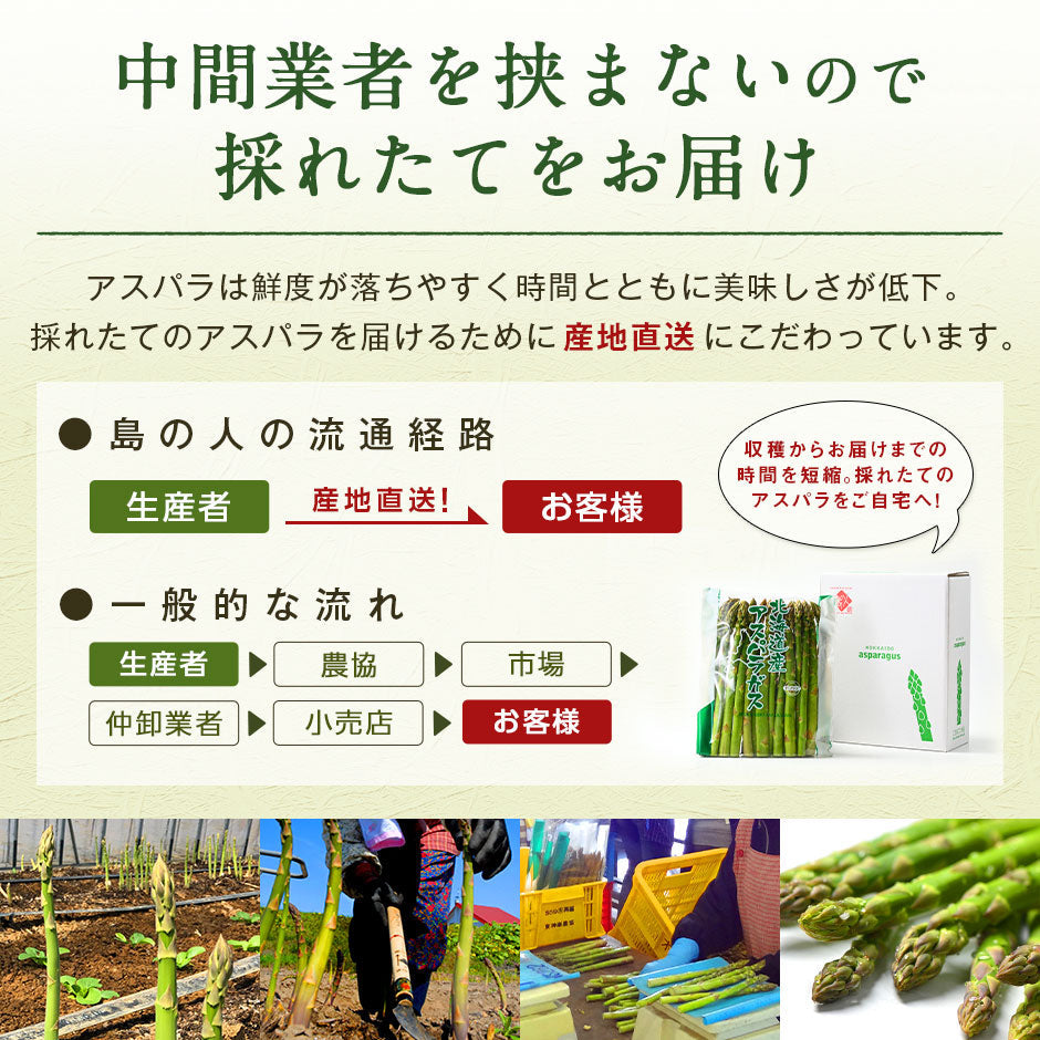 アスパラ 北海道 富良野産 グリーンアスパラガス サイズ混 (露地栽培) 訳あり【産地直送】【送料無料】
