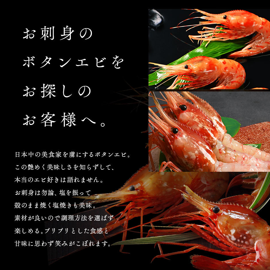北海道 増毛産 ボタンエビ 400g(9-12尾前後)【希少な北海道産