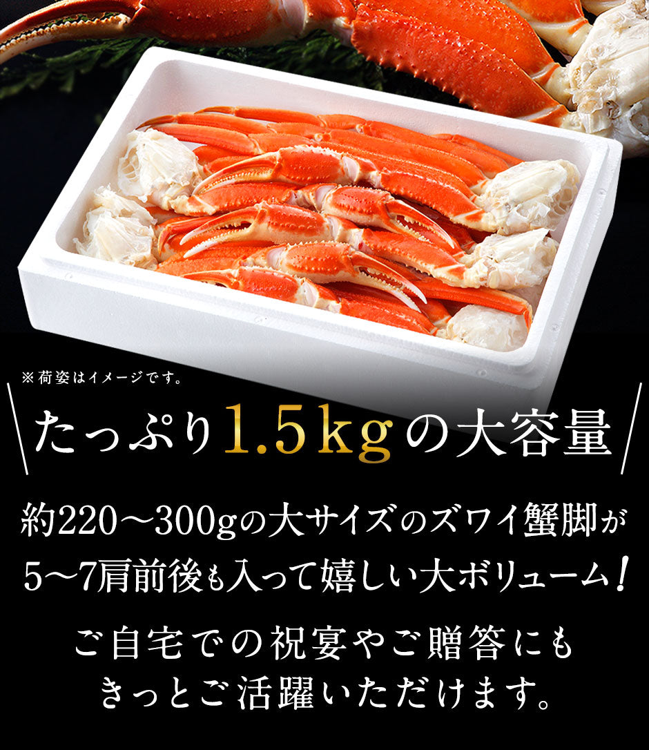 本ズワイガニ 脚 1.5kg (5-7肩前後/3人前)【送料無料】