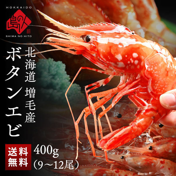 北海道 増毛産 ボタンエビ 400g(9-12尾前後)【希少な北海道産】【送料無料】