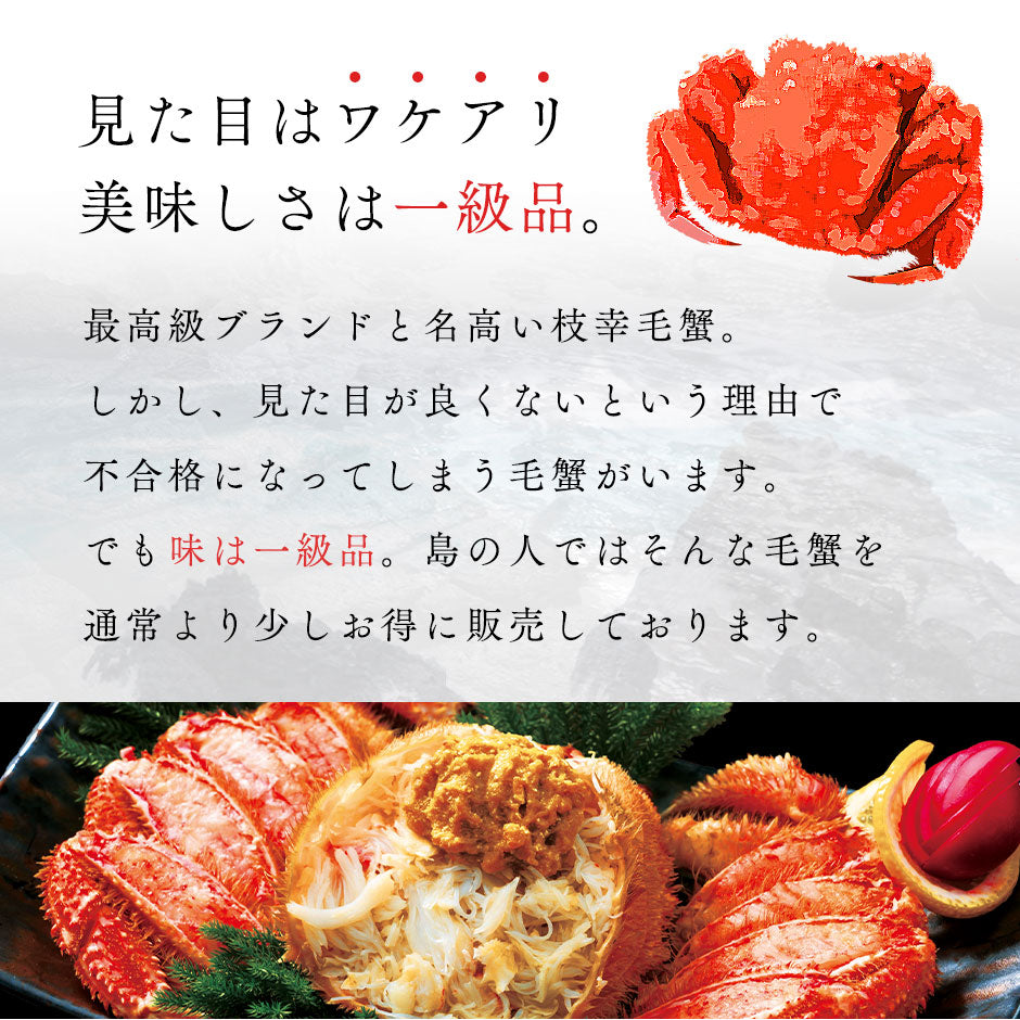 【キズ有・ご自宅品】かに 北海道 枝幸産 毛蟹【送料無料】 お取り寄せグルメ